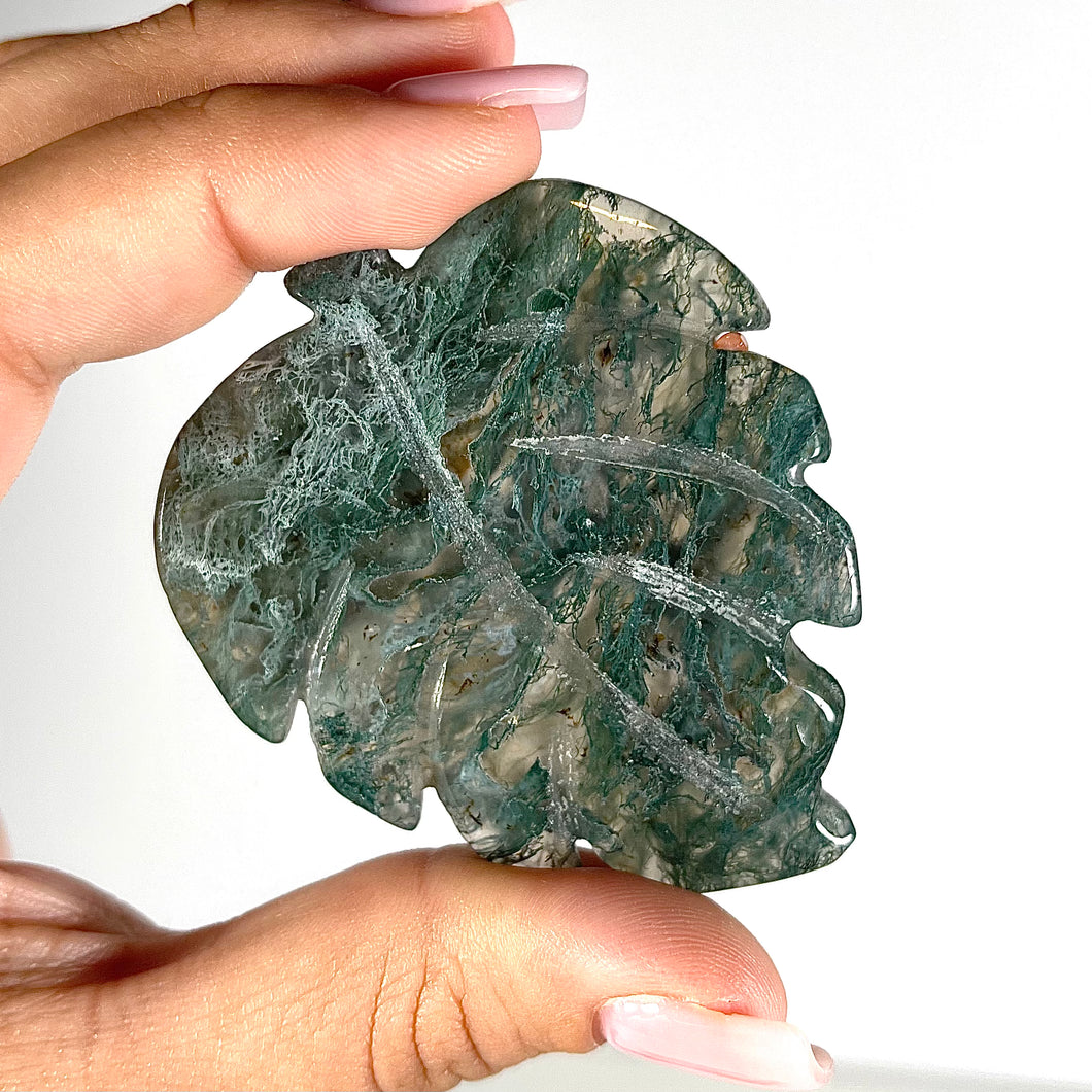 Moss Agate Monstera