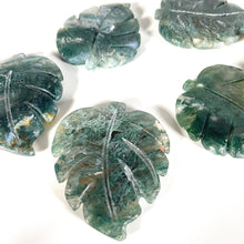 Load image into Gallery viewer, Moss Agate Monstera
