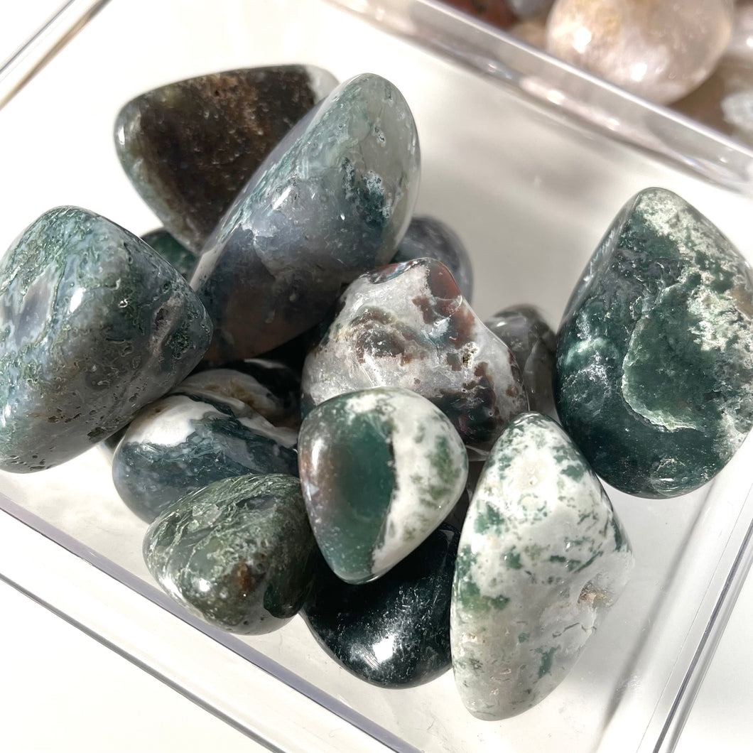 Large Moss/Tree Agate Tumble